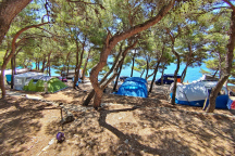 Camping Slanica *** 