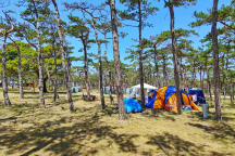 Camping Planik ** 