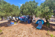 Camping Olea **** 