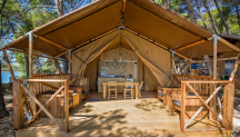 Camp Baldarin 