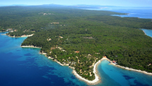 Camp Baldarin 