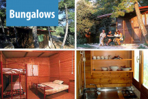 Camp Mlaska * 