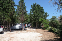 Camp Coto * 