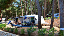 Camp Bijar 