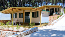 Camp Bijar 