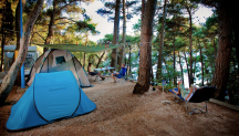 Camp Bijar 
