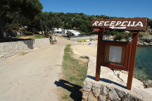 Camp Drazica * 
