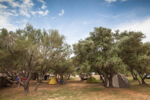 Camp Bor 