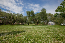 Camp Bor 