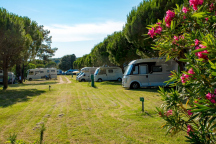 Camping Pila 