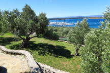 Campsite Marušina Olive Hills 