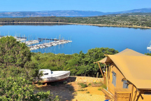 Campsite Marušina Olive Hills 