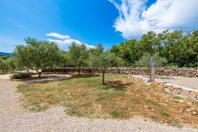 Campsite Punta Jerta Camping places