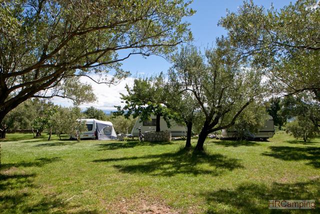 Camp Bor 