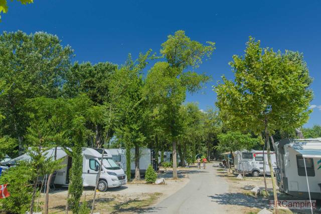 Camp Split **** 