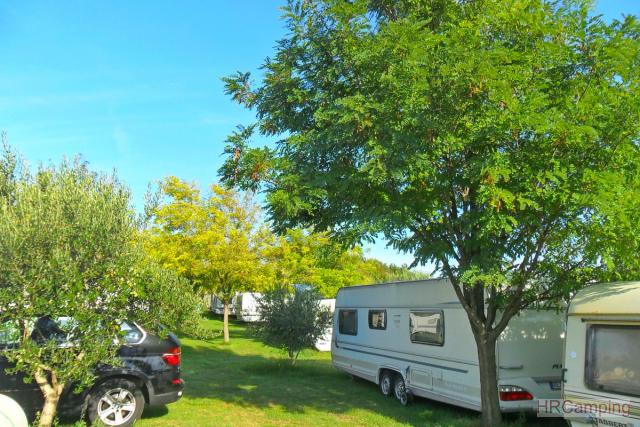 Camping Nin * 