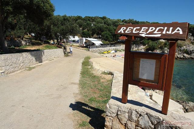 Camp Drazica * 