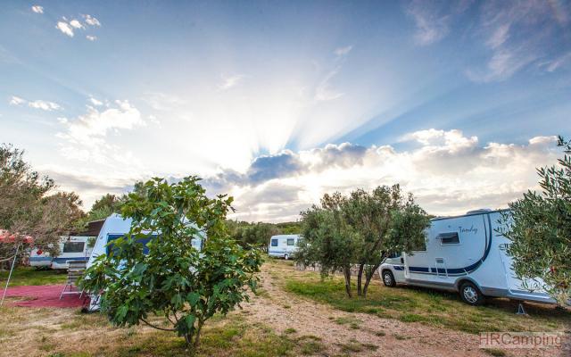 Camp Bor 