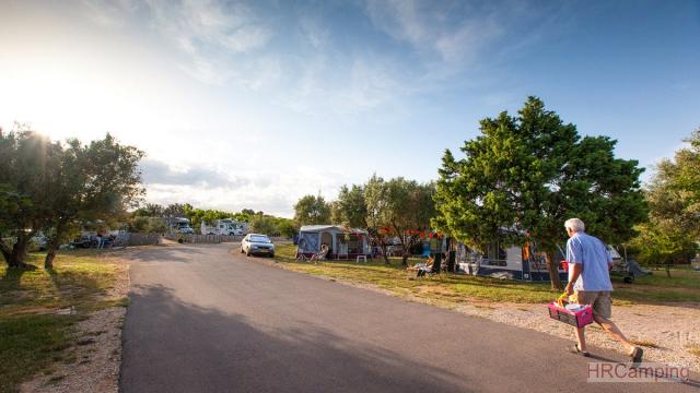 Camp Bor 