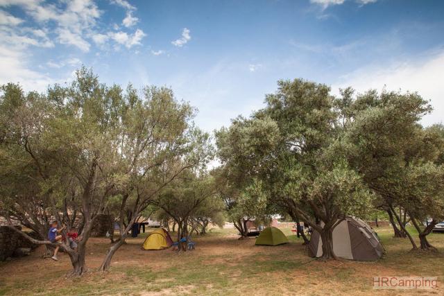 Camp Bor 